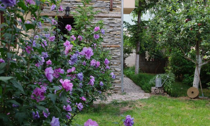 Peshtera House | Guesthouse Viktoria