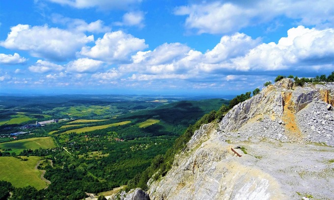 Parkdale House | Guests Enjoy a Free Breakfast !