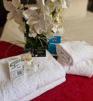 Limoges Hotel | Hôtel du Parc Limoges & Restaurant "Le temps d'une pause"