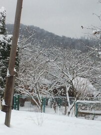 Yaremche House | Hata