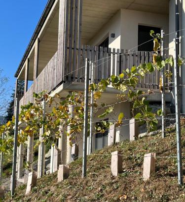 Oberhaag House | Haus Nebel