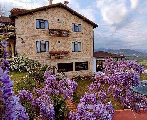 Fatsa Bed & Breakfast | Hayat Oksijen Resort