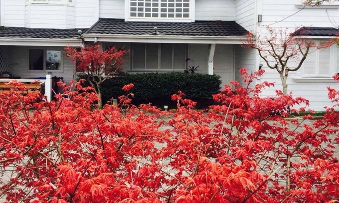 Fuxing District Bed & Breakfast | He Fong Villa