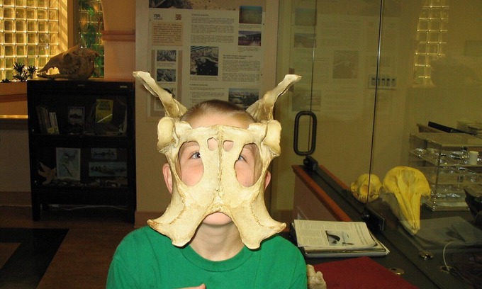 Columbia Heights Apartment | Heart of the City - HalfBlock to METRO - Columbia Heights.