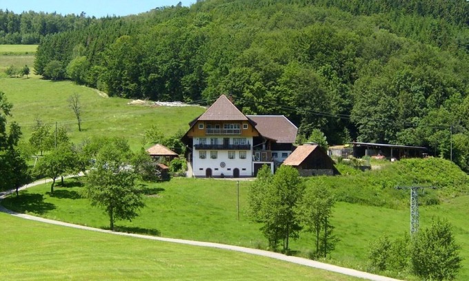 Hofstetten Apartment | Heizmannshof flower meadow