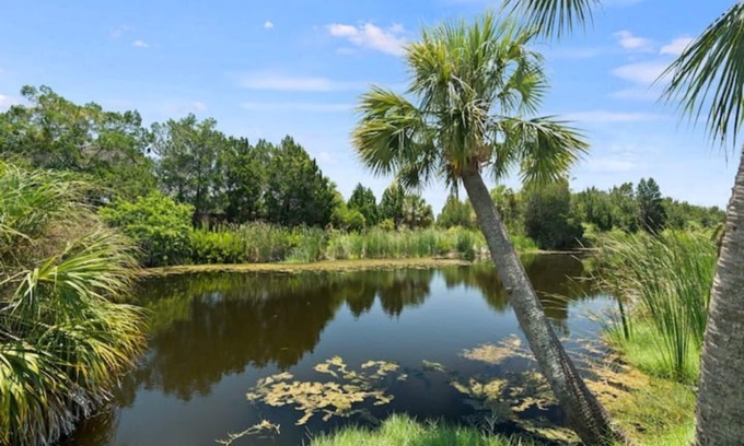 Spring Hill Apartment | Hernando Beach Apartment- Downtown Close To Everythingn