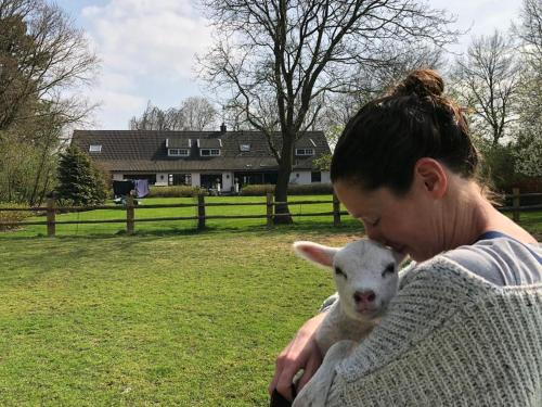 Daland Bed & Breakfast | Het geheim van Merselo