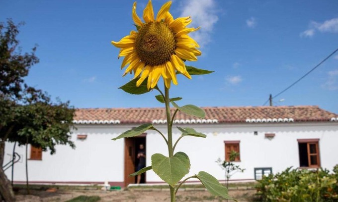 Baiona House | Heu’s Monte