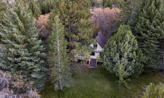 Pine Valley House | Hidden Pines Secluded Cabin on 3 Acres With Creek No Pets