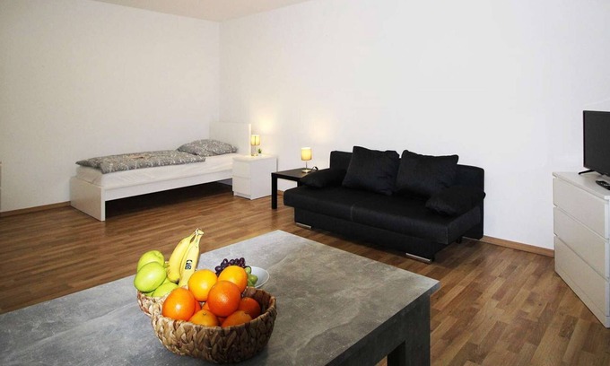 Burgeresch Apartment | HÖ01 large apartment with dryer and washing machine