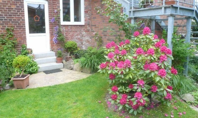 Dassow House | Holiday apartment Dassow for 1 - 2 persons with 1 bedroom - Holiday house