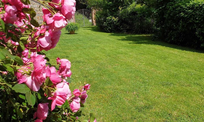 Laterina Apartment | Holiday apartment with pool