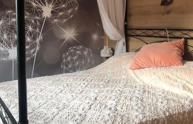 Fielis House | Holiday Guesthouse La Casina di Butzi pet friendly - Terme di Arta - Zoncolan