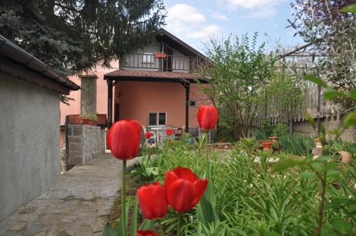 Dalgopo House | Holiday Home Vilata