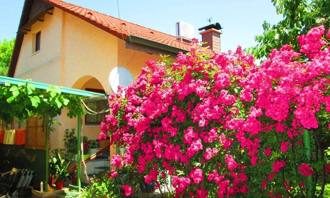 Balatonboglar House | Holiday home with terrace and barbecue