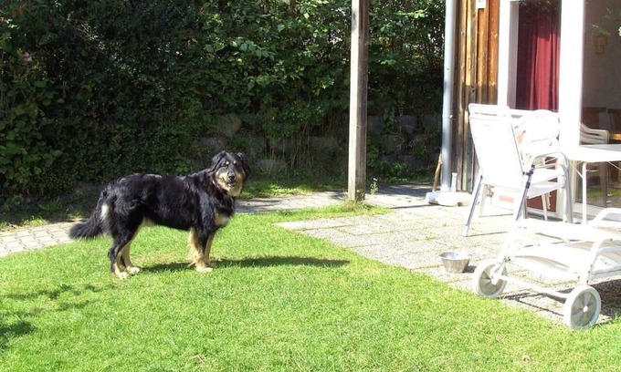 Zandt House | Holiday house Zandt for 1 - 5 persons with 2 bedrooms - Holiday home