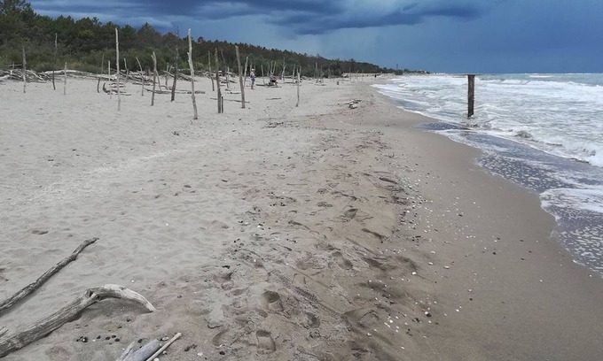 Lido di Dante House | Holiday park Classe - MH6 Atlantico (2809)