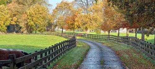 County Cavan House | Holywell Lodge