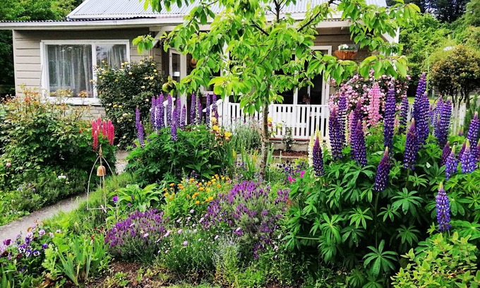 Lawrence Cottage | Home Away from Home.