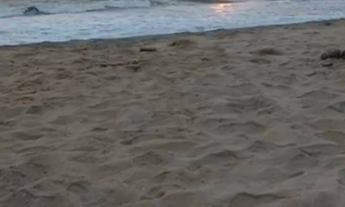 Honavar House | Honnavar, Karnataka