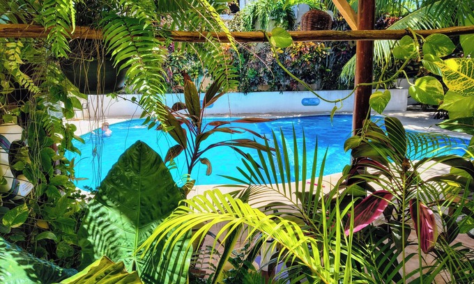 Centro Hotel | Hotel & Suites Oasis Bacalar