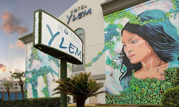 Braeswood Place Hotel | Hotel Ylem