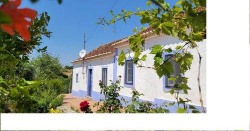 Sapataria Bed & Breakfast | House of Moitelas