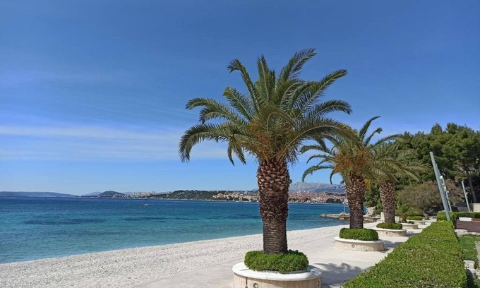 Zrnovnica House | House Palm Tree (98801-K1) - Zrnovnica (Split)