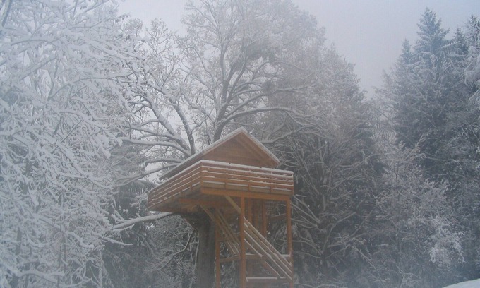 Ecole Ski Chalet | Hut perched on the edge of one of the most beautiful animal reserve in France