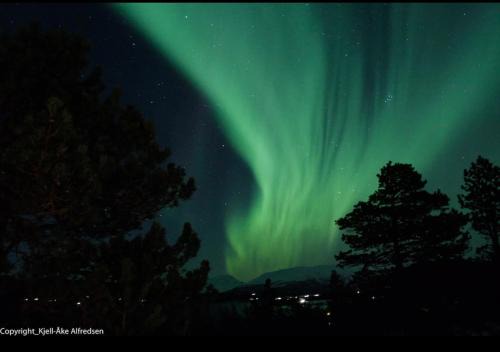 Laukeng House | Hytta og Iglo unik opplevelse