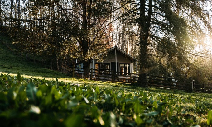 Dollar Cabin | Idyllic wooden cabin 45 minutes away from Edinburgh & Glasgow