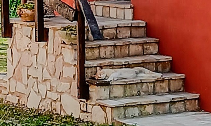 Genga House | Il Capriccio del Papa