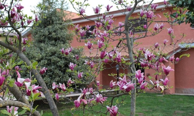 Colle Spina Bed & Breakfast | Il Sottosopra B&B