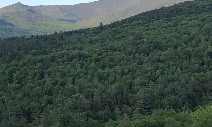 Thornton House | Immaculate home with breathtaking Mountain View