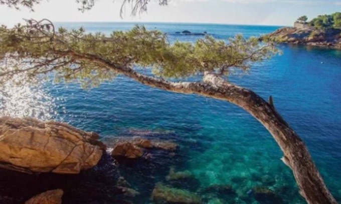 Ensues-la-Redonne Apartment | IN THE HEART OF THE CALANQUE DE FIGUIÈRES