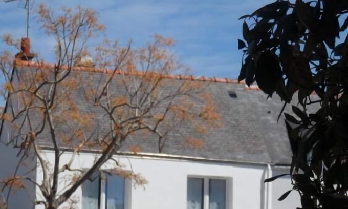 Saint-Pierre-Quiberon Apartment | Independent studio