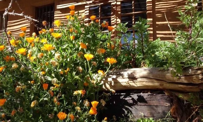 Paiguano Cabin | IndomitoElqui