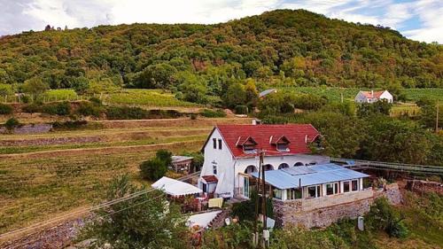 Somloszolos House | Inhauser Pincészet&Guesthouse&Restaurant