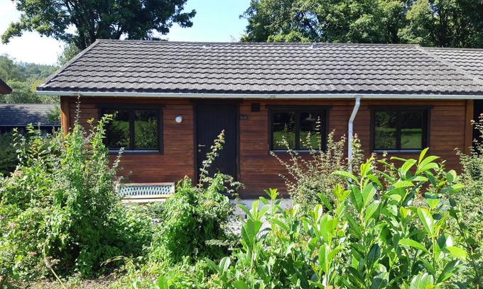 Marcouray Apartment | Into the woods