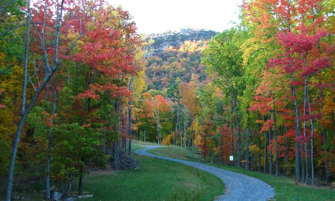 Glen Wilton Apartment | Inviting Mountain Retreat