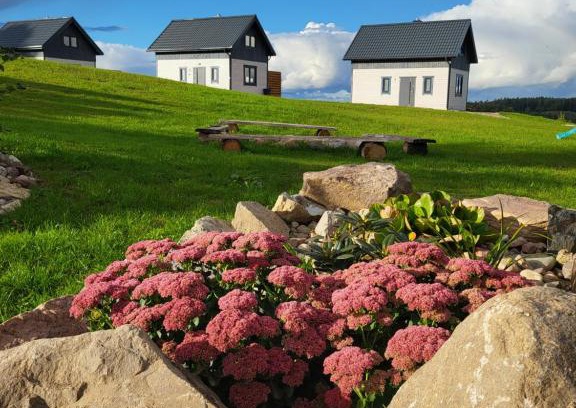 Pomerania Province Villa | Jaśkowe Wzgórze domki na wynajem Szymbark, balia, Domek nr 2 i 3