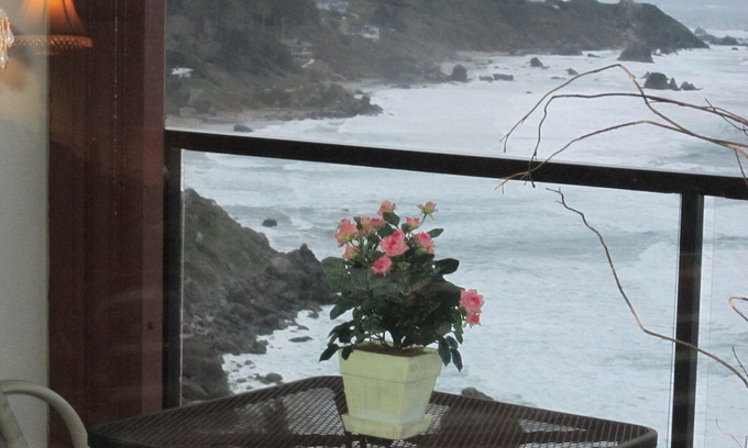 Brookings Condo | JAW-DROPPING VIEW,trails,family, free day,fireplace,private beach,gated & clean