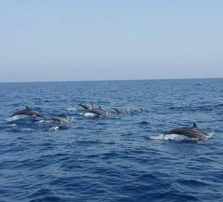 Honavar House | JRN Island sea view Beach Resort Honnavar