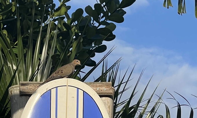 Riverwalk House | JUBA’S NEST NEAR BEACH COASTAL HOME