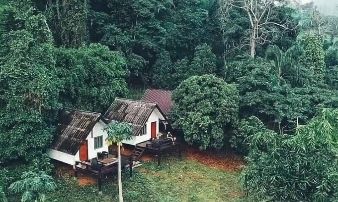 Pangmapha House | Jungle guest house