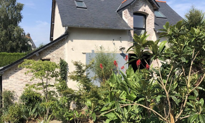 Bruz House | Jungle house