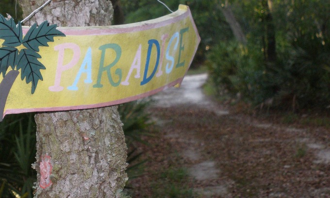 Ridge Manor Cabin | Just What You Are Looking For, Get Away From It All And Bring The Pets Too.