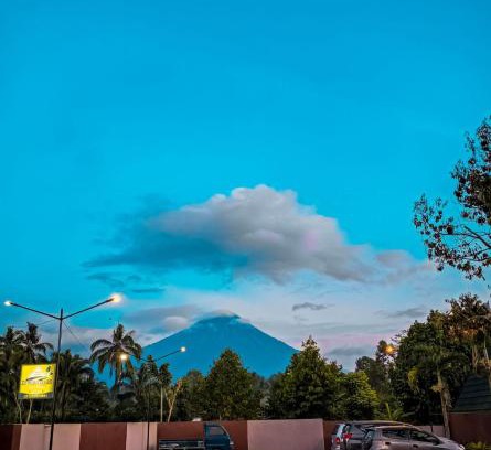 Argosari Hotel | Kaliningrat Cottage 2