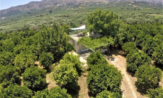 Mires Other | KaliVie Bio Farm & Retreat