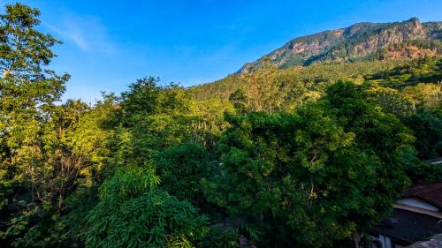 Imbulpe House | Kavi Guest Belihuloya